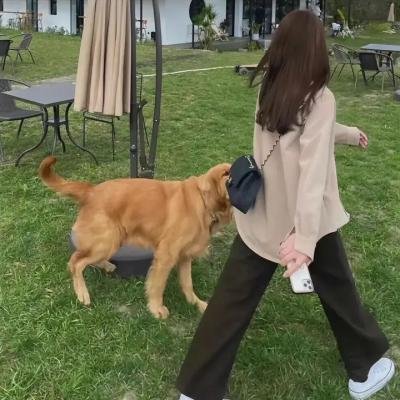 钢琴家